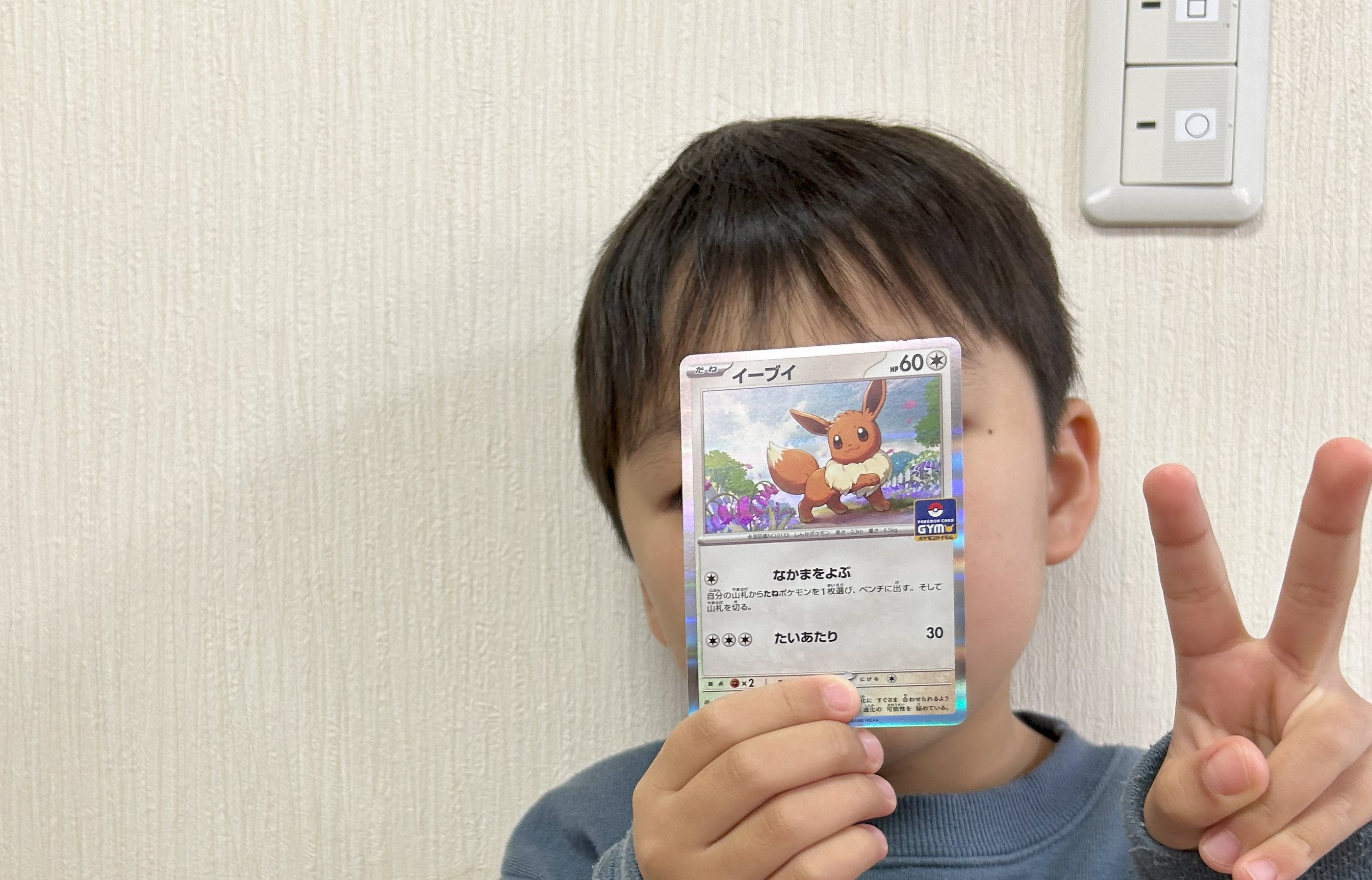 イーブイプロモゲット