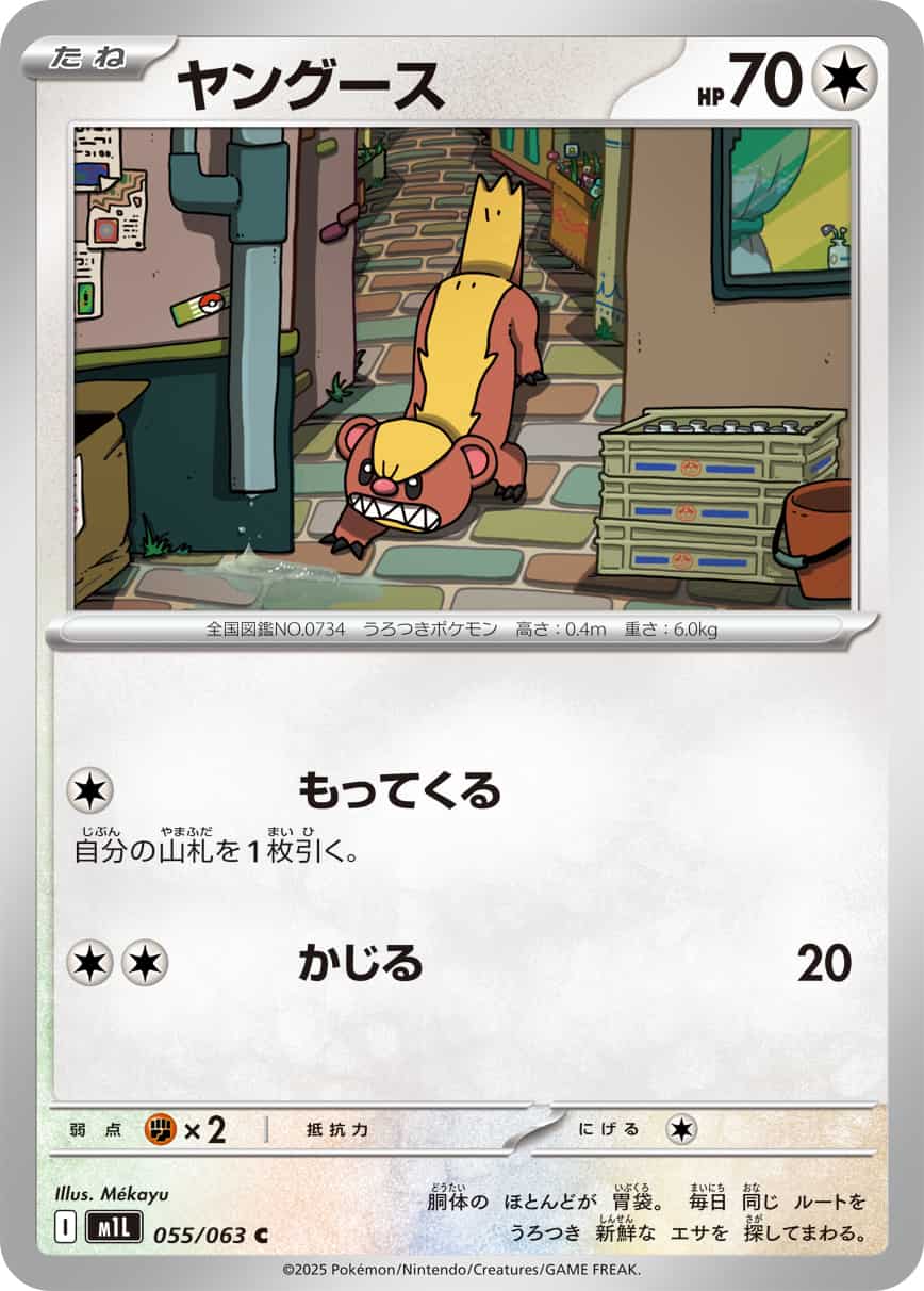 ヤングース