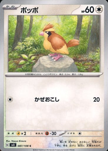 ポッポ