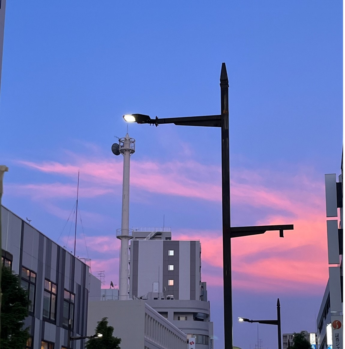 夕日